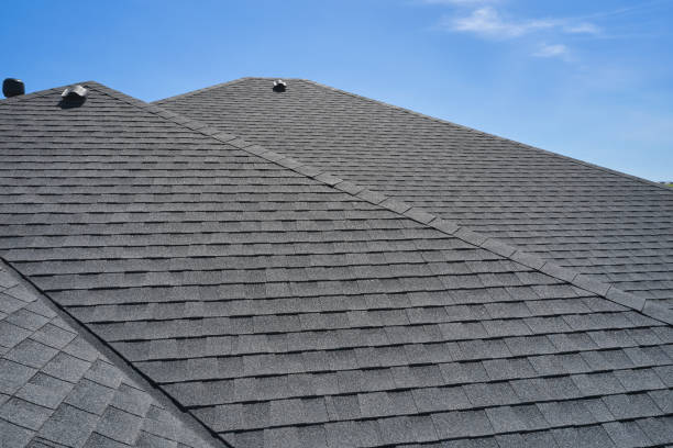 Best Storm Damage Roof Repair  in Sangaree, SC