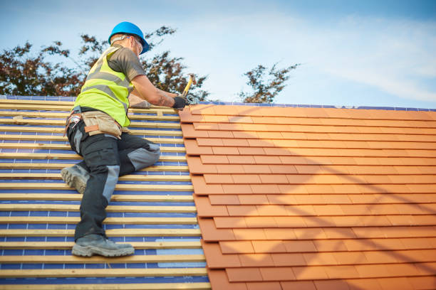 Best Gutter Installation and Repair  in Sangaree, SC
